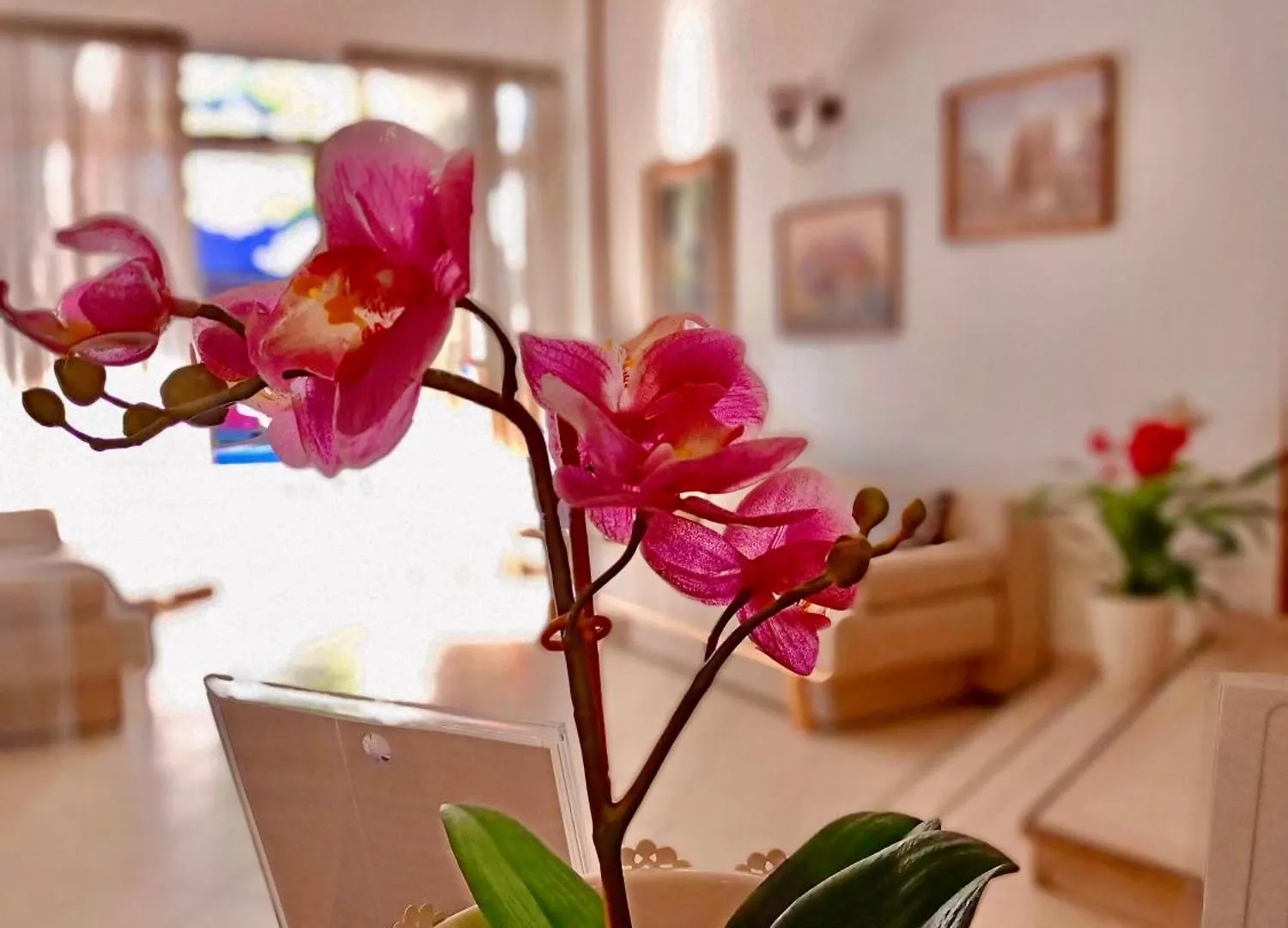 Hotel Rossella Rimini