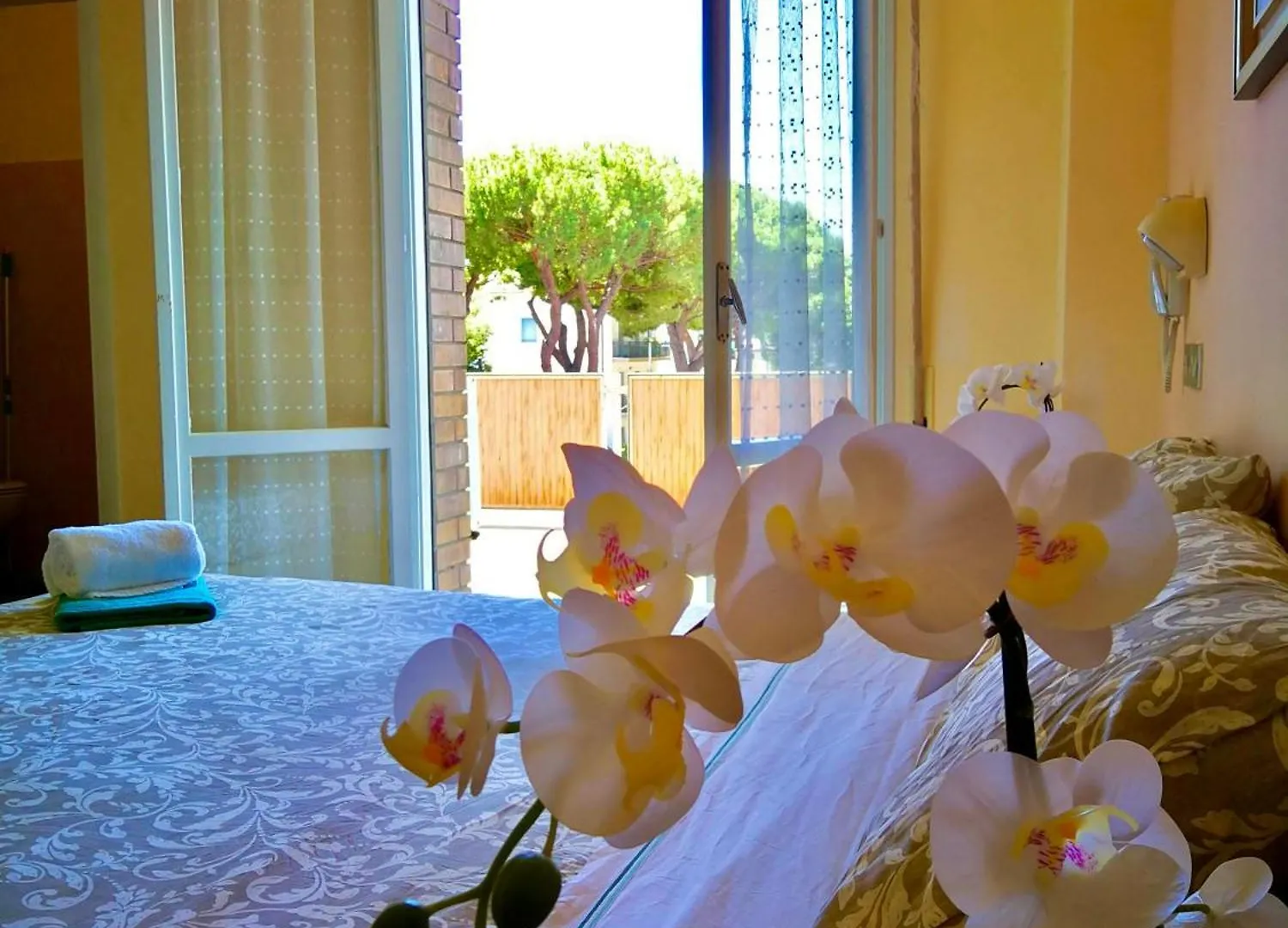 **  Hotel Rossella Rimini Italien